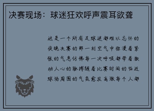 决赛现场：球迷狂欢呼声震耳欲聋